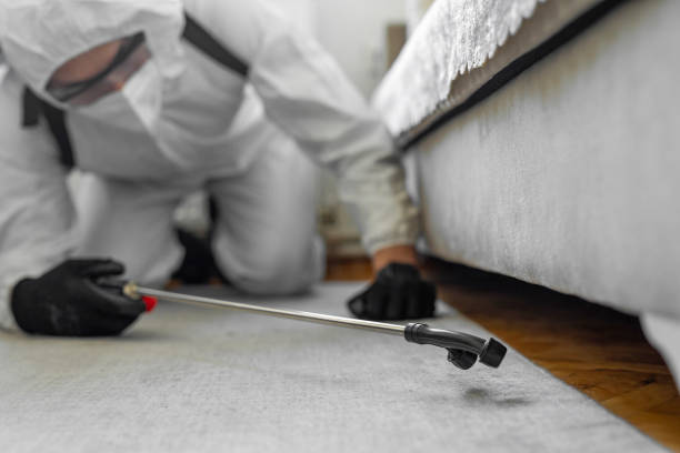 Professional Bed Bug Control technician working in Jones Creek, TX