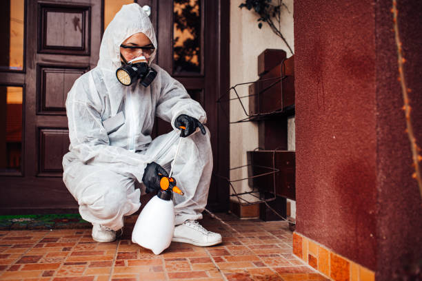 Reliable Bed Bug Control contractor in Jones Creek, TX by Nex Pest Control