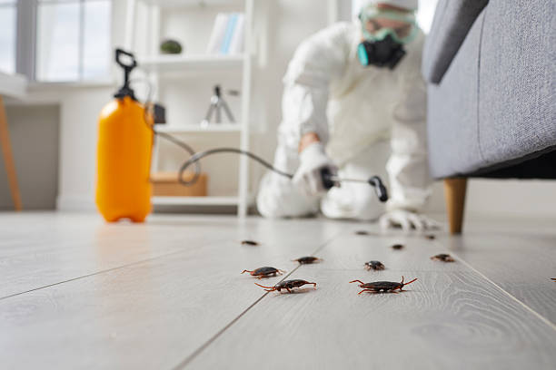 Trusted Fumigation Services service in Jones Creek, TX - Nex Pest Control
